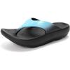 Black/Blue